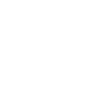 WSL Consultores
